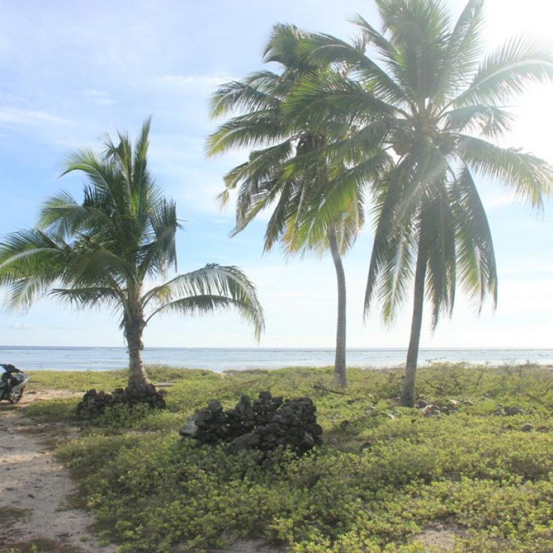 Terrain – villa - maison – propriété – à vendre – à louer – location - location longue durée – location à l’année – investissement – achat – vente – plage – bord de mer - sable blanc – Indonésie – Roti island – Bali – chambre – notaire – consultant - juridique – création - société – administration – voyage – entreprise – hôtel – commerce – restaurant – projet – visa – permis – travail – retraite – informations – découverte – aventure – produits – naturels – spa – salon – coiffure – réflexologie – savon – shampoing – anti-moustique – tourisme – plaisir – nature – surf – plongée – exploration – exotique – exotisme – massage – traditionnel – huile de massage – coucher de soleil – photos – galerie – soin de beauté – pédicure – manucure – agent immobilier – professionnel-Land - villa - house - property - for sale - rent - rental - leasing - rent annually - investment - purchase - sale - beach - sea - white sand - Indonesia - Rote island - Bali - bedroom - notary - consultant - legal - creation - company - administration - travel - business - hotel - shop - restaurant - project - visa - permit - work - retirement - information - discovery - adventure - products - natural - spa - lounge - hairdresser - reflexology - soap - shampoo – anti-mosquito – pleasure – nature – surf – diving – exploration - exotic - exotism - massage - traditional - massage oil - sunset - pictures - gallery - beauty treatment - pedicure – manicure – real estate agent – professional-Tanah - villa - rumah - properti - Dijual - disewakan - dikontrakan - menyewa per tahun - investasi - pembelian - penjualan - pantai - laut - pasir putih - Indonesia - pulau Roti - Bali - bedroom - notaris - konsultan - hukum - penciptaan - wisata - - bisnis - Hotel - bisnis - restoran - proyek - visa - izin - pekerjaan - pensiun - informasi - penemuan - petualangan - produk - spa - - alam ruang duduk - penata rambut - reflexology masyarakat - administrasi - sabun - shampoo – anti-nyamuk - Pariwisata - menyenangkan - semacam - surfing - diving – eksplorasi - eksotik - eksotis - pijat - tradisional - pijat minyak - sunset - Foto - galeri - perawatan kecantikan - pedicure – manicure – properti agen - Profesional